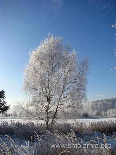zima2009 (10).JPG